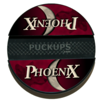 Phoenix Coyotes