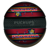 Florida Panthers